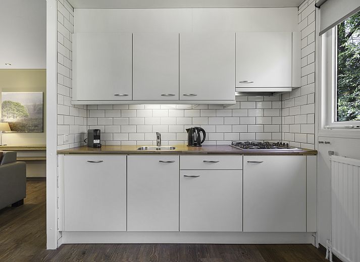 Gemuetliches Wohnzimmer mit Kamin in Twenhaarsveld 2-Personen-Bungalow 2L, Holten, Salland.