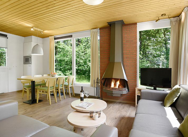 Gezellige woonkamer met open haard in Twenhaarsveld bungalow in Salland, Overijssel.