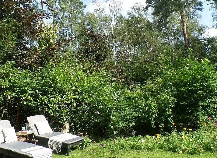 Verblijf 5302108 - Bungalow Salland - Yocasa