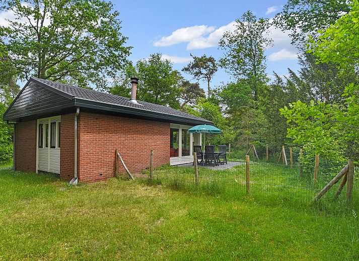 Rustic dog bungalow Twenhaarsveld in Holten, surrounded by green nature in Salland, Overijssel.