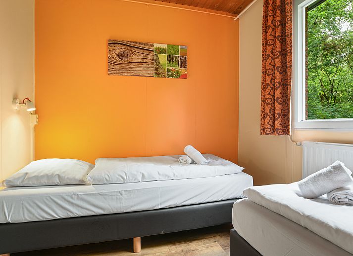 Gezellige woonkamer van Twenhaarsveld 4-persoons bungalow 4B in Holten, Overijssel, met uitzicht op de natuur.