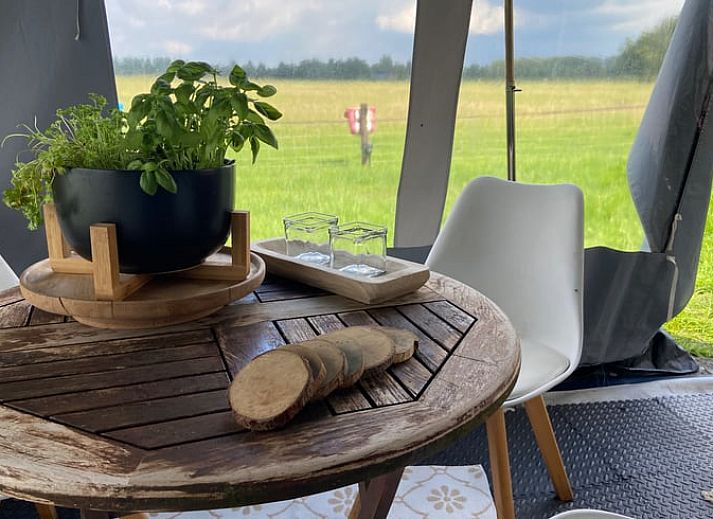 Unterkunft 5302120 - Ferienhaus Salland - Vakantiehuis in Holten