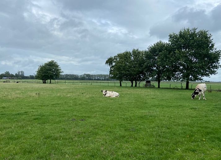 Unterkunft 5302120 - Ferienhaus Salland - Vakantiehuis in Holten