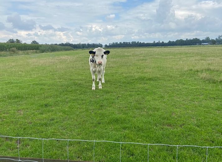 Unterkunft 5302120 - Ferienhaus Salland - Vakantiehuis in Holten