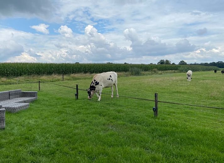 Unterkunft 5302120 - Ferienhaus Salland - Vakantiehuis in Holten