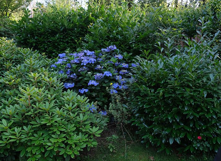 Modernes Badezimmer im Ferienhaus OV755, Holten, Salland, Overijssel, mit schlichten weissen Sanitaeranlagen und stilvoller Ausstattung.