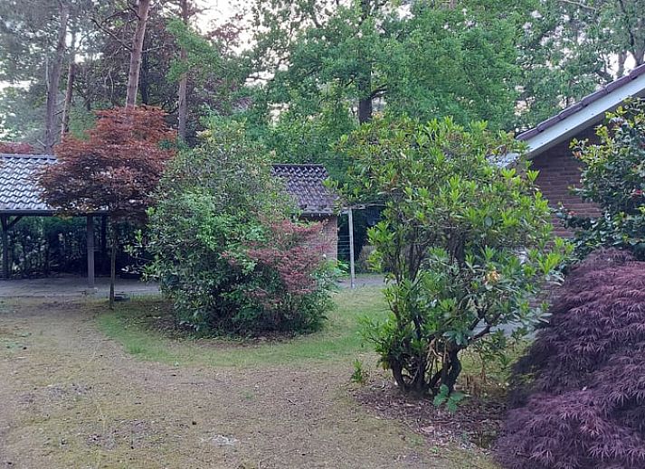 Ferienhaus in Holten, umgeben von gruener Natur und bluehenden Straeuchern in Salland, Overijssel.