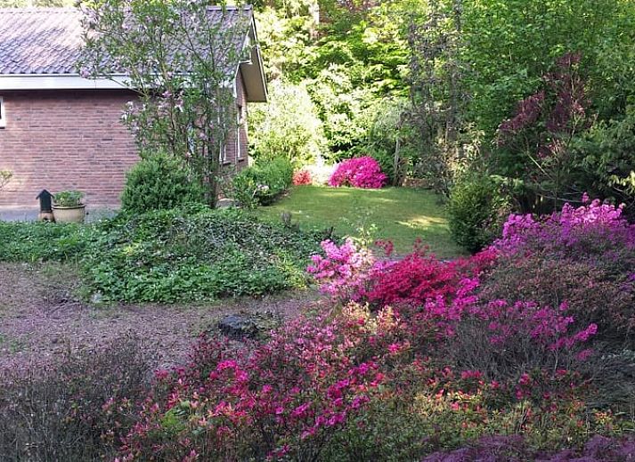 Ferienhaus in Holten, umgeben von gruener Natur und bluehenden Straeuchern in Salland, Overijssel.