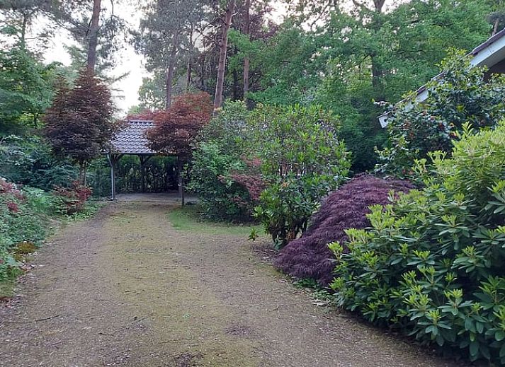 Schoener Blumengarten im Ferienhaus in Holten, gelegen in der gruenen Umgebung von Salland, Overijssel.