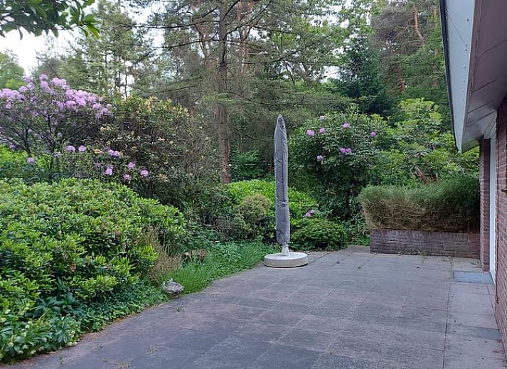 Ferienhaus in Holten, gelegen in der gruenen Natur von Salland, Overijssel, umgeben von bunten Blumen und einem ueppigen Garten.