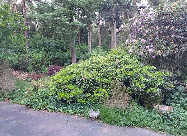 Entdecken Sie den ruhigen Garten des Ferienhauses in Holten, ein idyllisches Ferienhaus in der gruenen Landschaft von Salland, Overijssel.
