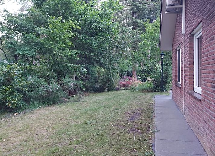 Entdecken Sie den ruhigen Garten des Ferienhauses in Holten, ein idyllisches Ferienhaus in der gruenen Landschaft von Salland, Overijssel.