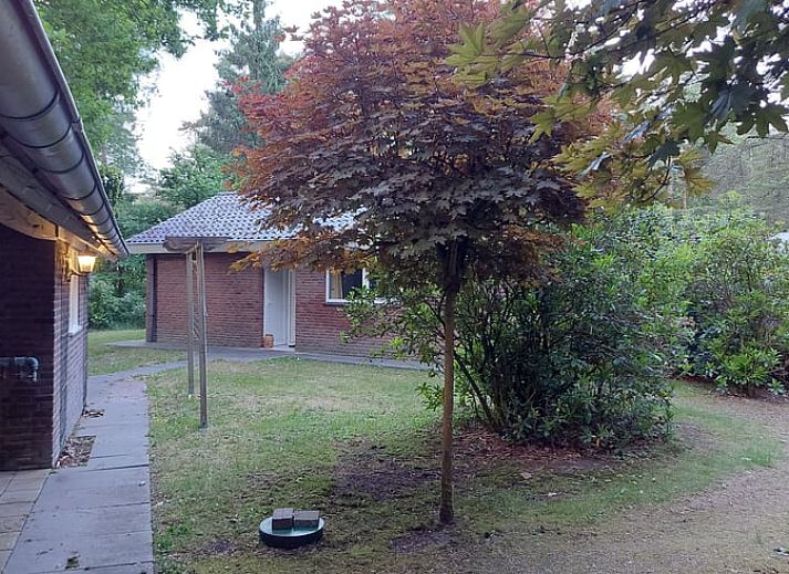 Entdecken Sie den ruhigen Garten des Ferienhauses in Holten, ein idyllisches Ferienhaus in der gruenen Landschaft von Salland, Overijssel.