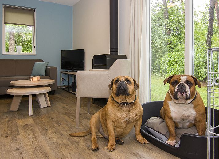 Unterkunft 5302143 - Bungalow Salland - Twenhaarsveld | 6-persoons hondenbungalow | 6CD