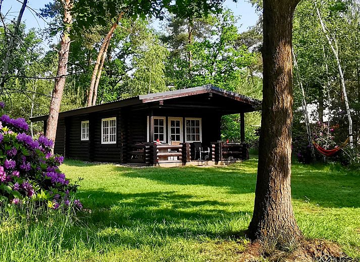 Guest house 5302164 - Holiday property Salland - Family Lodge met bad