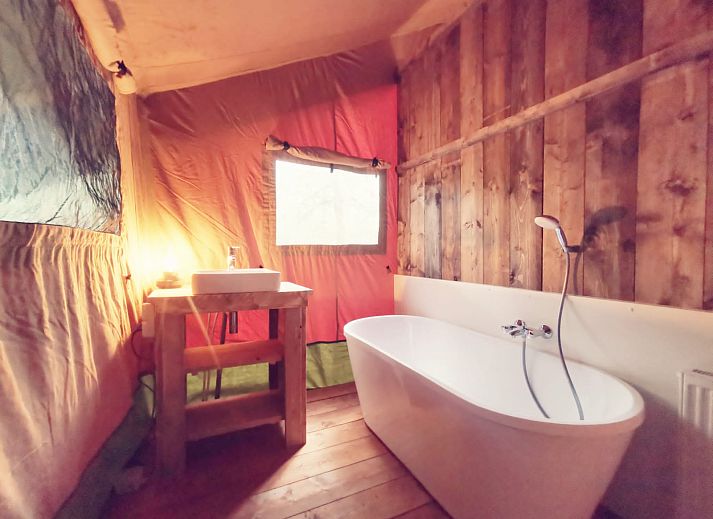 Guest house 5302166 - Tent house Salland - Glamping tent met bad