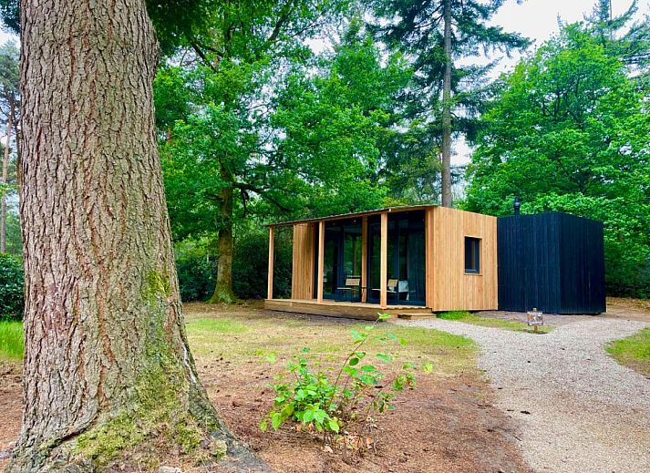 Verblijf 5302167 - Vakantiewoning Salland - Forest Cabin