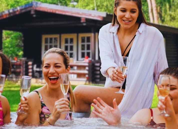 Unterkunft 5302170 - Ferienhaus Salland - Vakantiehuis Outdoors Holten - Family Lodge met bad & hottub