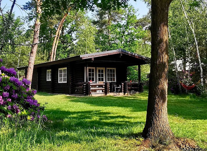 Unterkunft 5302170 - Ferienhaus Salland - Vakantiehuis Outdoors Holten - Family Lodge met bad & hottub