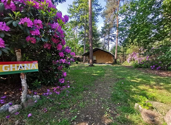Verblijf 5302176 - Vakantiewoning Salland - Vakantiehuis Outdoors Holten - Romantic Safaritent bad