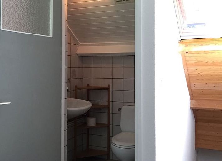 Charmantes Ferienhaus in Holten, Overijssel, umgeben von viel Gruen mit einer einladenden Terrasse zum Entspannen in der Natur.