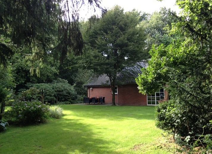 Gemuetliches Wohnzimmer im Ferienhaus in Holten, Overijssel mit komfortabler Sitzecke und grossen Fenstern mit Blick auf die Natur.