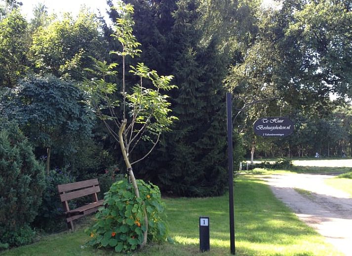 Gemuetliches Wohnzimmer im Ferienhaus in Holten, Overijssel mit Blick auf den gruenen Garten. Ideal fuer einen entspannten Aufenthalt in Salland.