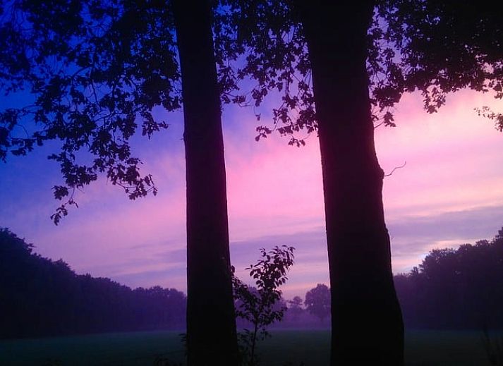 Gemuetliches Wohnzimmer im Ferienhaus in Holten, Overijssel mit Blick auf den gruenen Garten. Ideal fuer einen entspannten Aufenthalt in Salland.