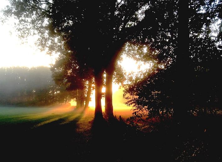 Unterkunft 530241 - Ferienhaus Salland - Vakantiehuisje in Holten