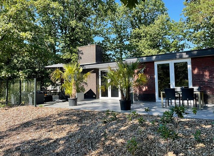 Geniet van het zonnige terras bij Huisje in Holten, een vakantiehuis in de natuur van Salland, Overijssel.