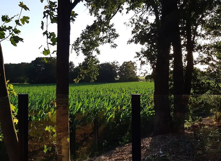 Geniet van het zonnige terras bij Huisje in Holten, een vakantiehuis in de natuur van Salland, Overijssel.