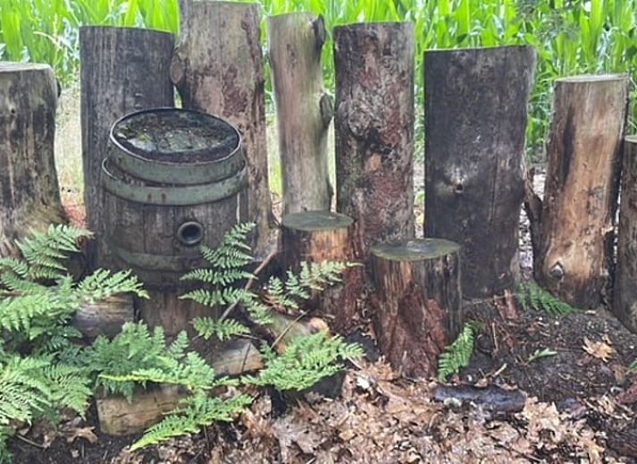 Geniet van het prachtige uitzicht op de groene velden vanuit Huisje in Holten, een vakantiehuis in het serene Salland, Overijssel.