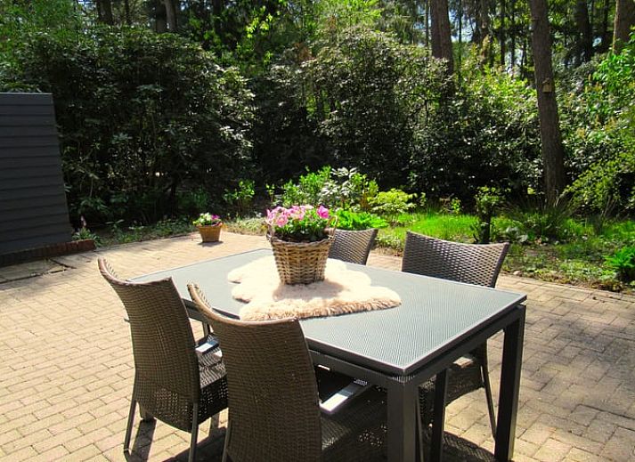 Gezellige binnenruimte van Vakantiehuis in Holten, Overijssel, met sfeervolle decoraties en comfortabele zithoek.