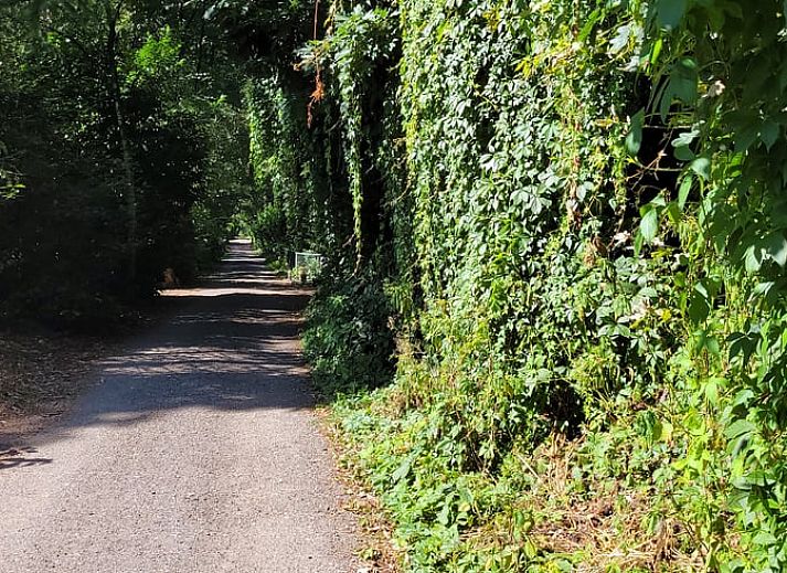 Ontspan op het terras van Vakantiehuis in Holten, Salland, Overijssel, met een moderne jacuzzi en omringd door rustgevende natuur.
