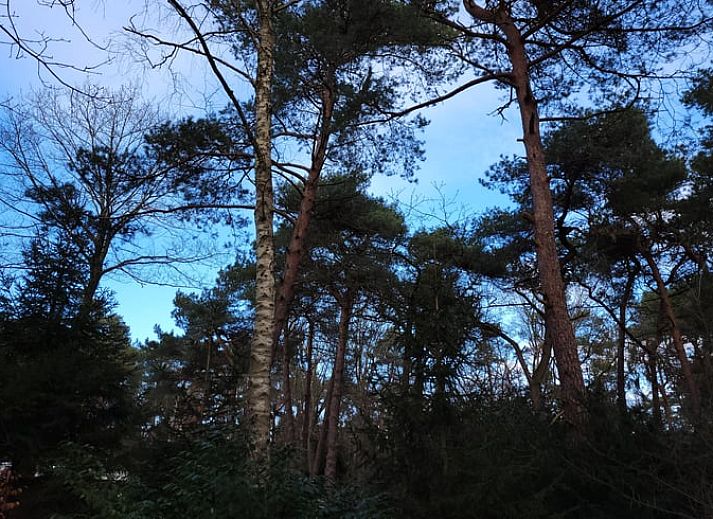 Ontspan op het terras van Vakantiehuis in Holten, Salland, Overijssel, met een moderne jacuzzi en omringd door rustgevende natuur.