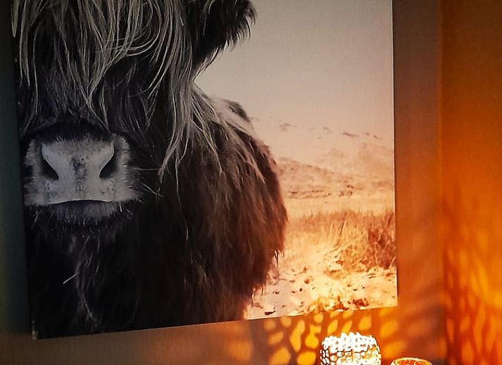 Gezellige woonkamer in Vakantiehuis in Holten, Salland, Overijssel met moderne inrichting en uitzicht op groene omgeving.