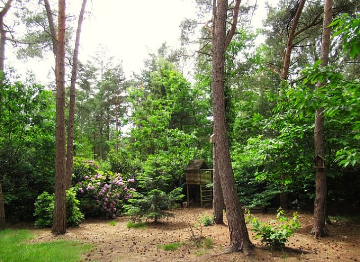 Gezellige woonkamer in Vakantiehuis in Holten, Salland, Overijssel met moderne inrichting en uitzicht op groene omgeving.