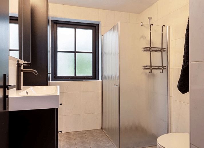 Cottage in Holten, ein charmantes Ferienhaus in Salland, Overijssel, mit Reetdach und Terrasse, umgeben von ueppiger Natur.