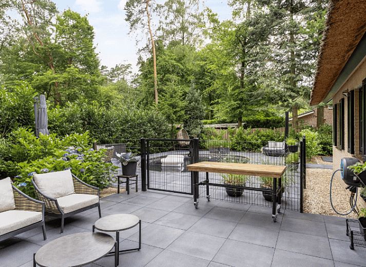Cottage in Holten, ein charmantes Ferienhaus in Salland, Overijssel, mit Reetdach und Terrasse, umgeben von ueppiger Natur.
