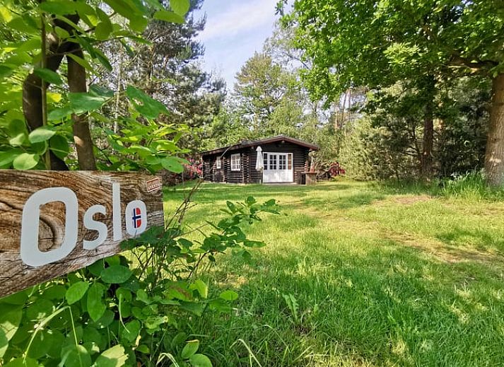 Unterkunft 530263 - Ferienhaus Salland - Vakantiehuis in Holten