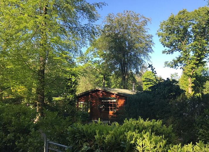 Vakantiehuisje in Holten, een charmante vakantiewoning in het groene Salland, Overijssel, omgeven door weelderige natuur en bomen.