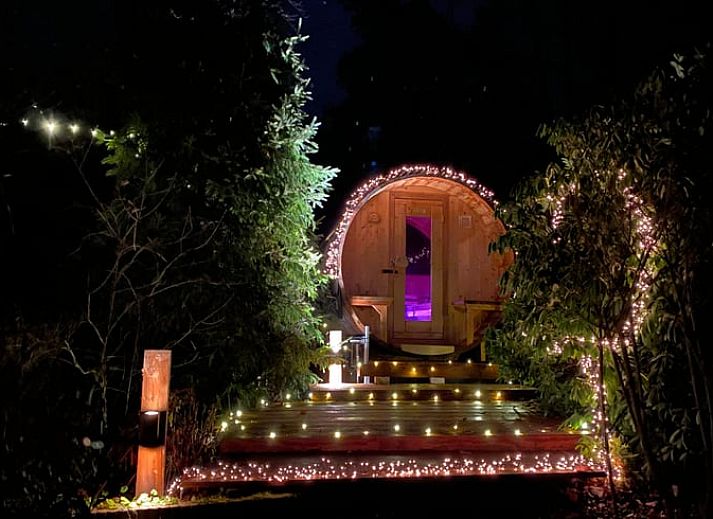 Vakantiehuisje in Holten, een charmante vakantiewoning in het groene Salland, Overijssel, omgeven door weelderige natuur en bomen.