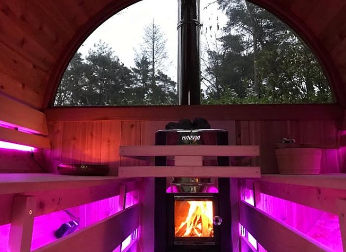 Vakantiehuisje in Holten, een charmante vakantiewoning in het groene Salland, Overijssel, omgeven door weelderige natuur en bomen.