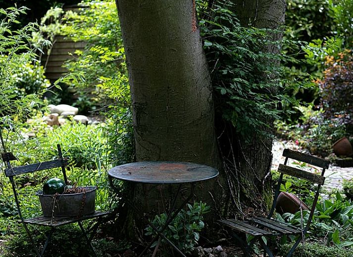 Geniet van ontspanning in de tuin van Vakantiehuisje in Holten, gelegen in het groene Salland, Overijssel, met een luxe jacuzzi onder een parasol.