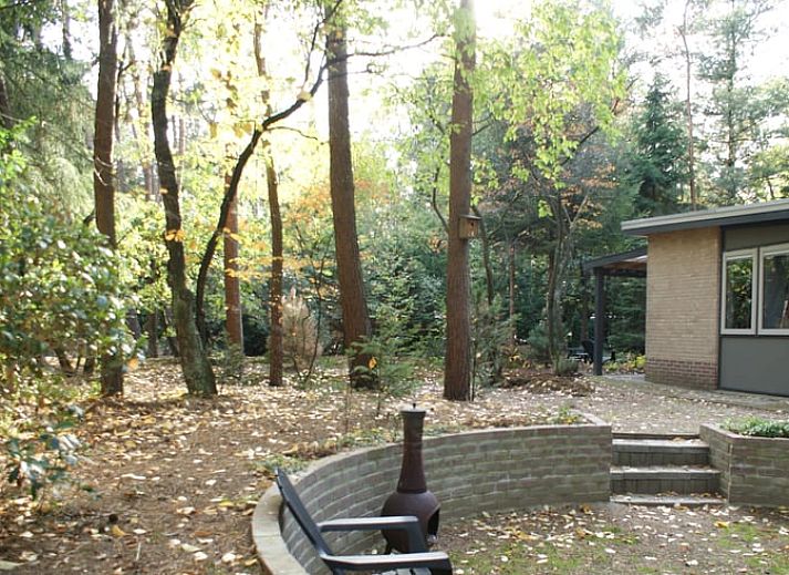 Ferienhaus in Holten, gelegen im waldreichen Salland, Overijssel. Geniessen Sie die ruhige Natur rund um dieses charmante Ferienhaus.