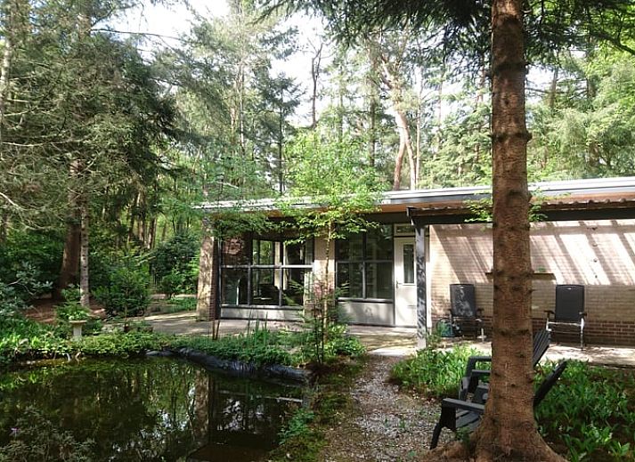 Ferienhaus in Holten, gelegen im waldreichen Salland, Overijssel. Geniessen Sie die ruhige Natur rund um dieses charmante Ferienhaus.