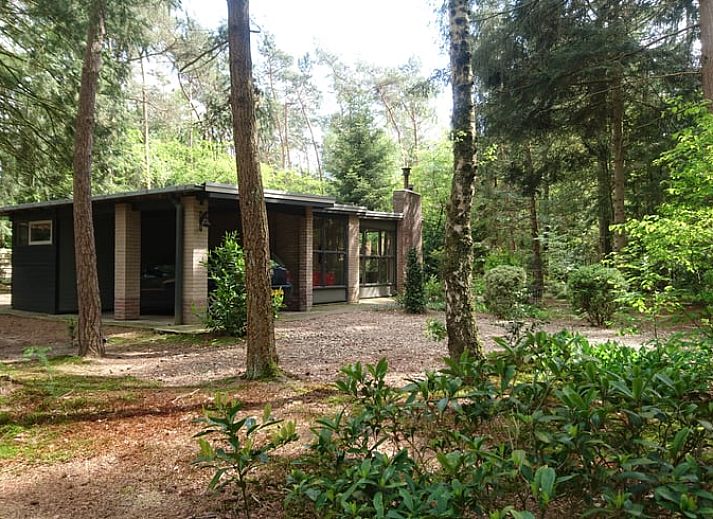 Ferienhaus in Holten, gelegen im waldreichen Salland, Overijssel. Geniessen Sie die ruhige Natur rund um dieses charmante Ferienhaus.