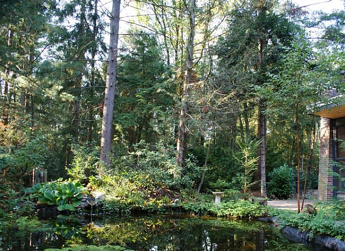 Ferienhaus in Holten, ein charmantes Ferienhaus im waldreichen Salland, Overijssel, mit einer einladenden Terrasse und Natur rundherum.