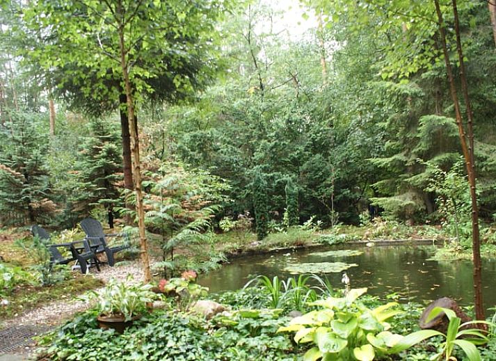 Geniessen Sie die ruhige, waldreiche Umgebung im Ferienhaus in Holten, einem charmanten Ferienhaus im schoenen Salland, Overijssel.