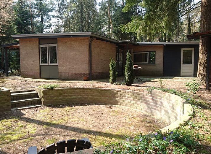 Geniessen Sie die ruhige, waldreiche Umgebung im Ferienhaus in Holten, einem charmanten Ferienhaus im schoenen Salland, Overijssel.